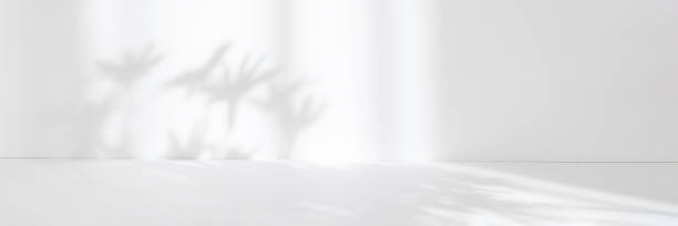 istock Abstract white studio background for product presentation. Empty room with shadows of window and flowers and palm leaves . 3d room with copy space. Summer concert. Blurred backdrop. Banner 1387064362