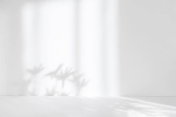 istock Abstract white studio background for product presentation. Empty room with shadows of window and flowers and palm leaves . 3d room with copy space. Summer concert. Blurred backdrop. 1387064370