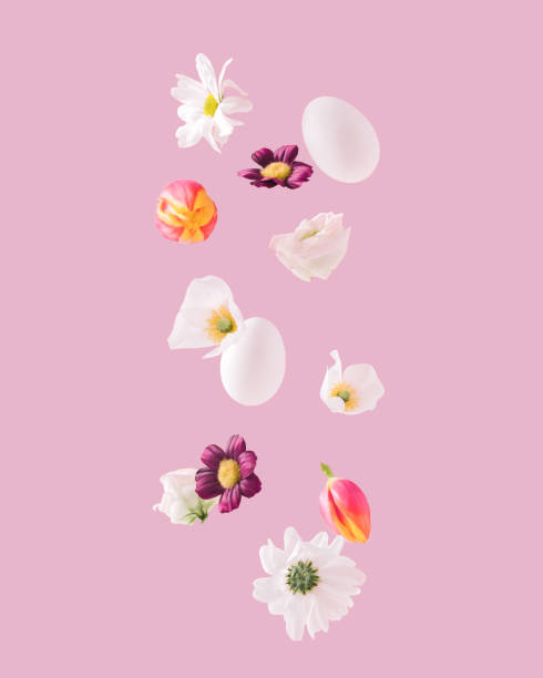 istock White daisies, tulips, roses, Easter eggs and various flowers floating on pastel pink background. Minimal and creative spring concept. 1387065591