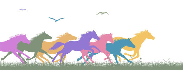 ilustrações, clipart, desenhos animados e ícones de liberdade. correndo cavalos selvagens. - running horses