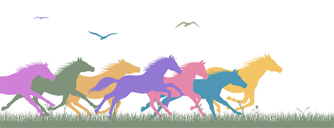 Freedom. Running Wild Horses.