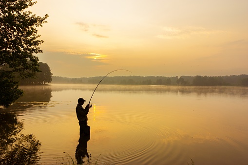 fisherman catching the fish during sunrise
