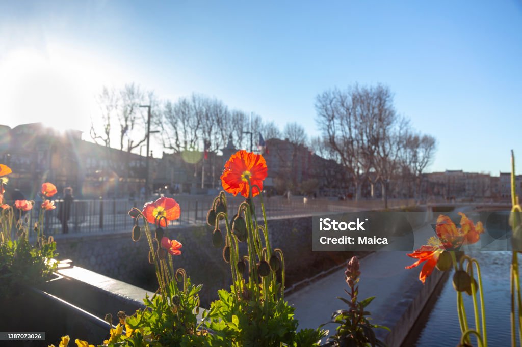 Narbonne Narbonne canal river Architecture Stock Photo