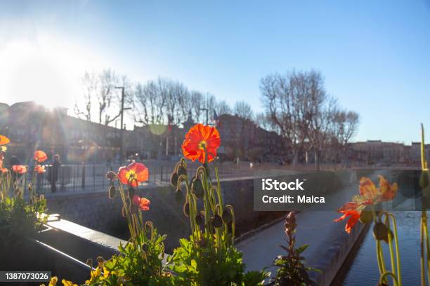 Narbonne Stock Photo - Download Image Now - Architecture, Bridge - Built Structure, Built Structure