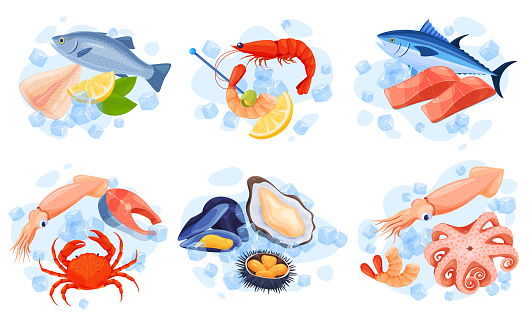 Collection delicious seafood products serving into ice cubes, lemon, herb mint vector flat illustration. Set restaurant menu salmon, shrimp, tuna, crab, squid, sea urchin, oyster, mussel and octopus