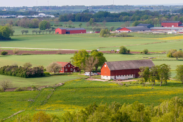 istock Farm on the fields in a rural view 1387075064