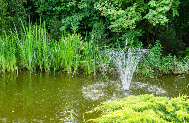 Cascade fountain on emerald surface of pond in the old shady garden. Freshness and coolness on a sunny day. Cascade fountain on emerald surface of pond in the old shady garden. Freshness and coolness on a sunny day. pond fountains stock pictures, royalty-free photos & images