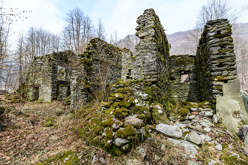 Italian Alps, Piedmont, Valsesia: Old stone house ruin in the forest