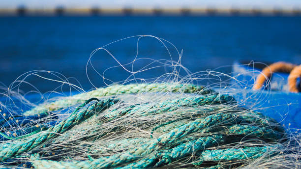 물가에 저장된 낚시 장비 - harpoon spear fishing rope 뉴스 사진 이미지