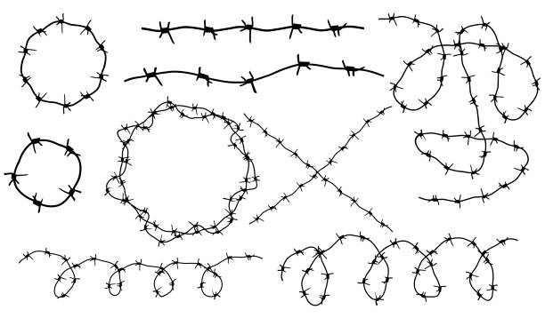 illustrations, cliparts, dessins animés et icônes de fil de fer barbelé, ensemble. modèle de pinceau, élément de conception. illustration vectorielle - barbed wire fence wire danger