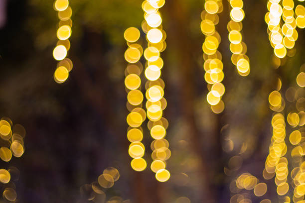 istock Decorative outdoor string lights hanging on tree in the garden at night time 1387085553
