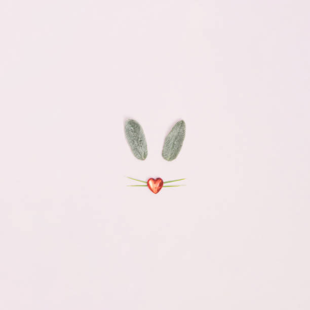 Bunny rabbit face made of natural green leaves on bright background. Easter minimal concept. Flat lay.