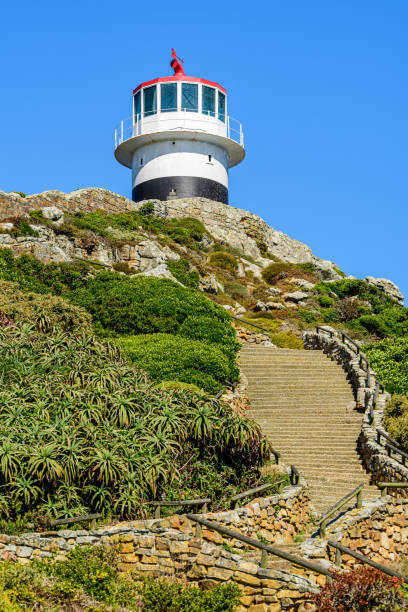 new cape point lighthouse in cape of good hope. - south africa africa cape of good hope cape town imagens e fotografias de stock