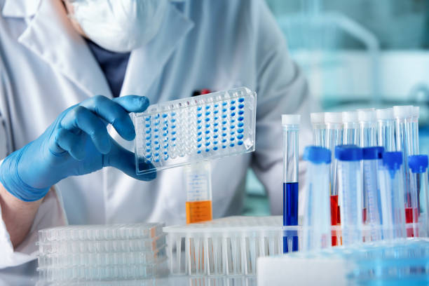 Doctor working with panel microplate for diseases diagnostic in the laboratory stock photo