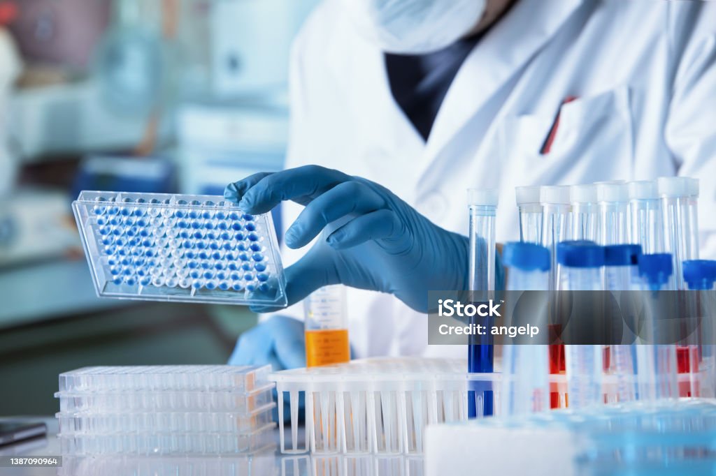 Doctor working with microplate for elisa analysis Researcher working with microplate panel for diseases diagnosis in the laboratory. Doctor working with microplate for elisa analysis Laboratory Stock Photo
