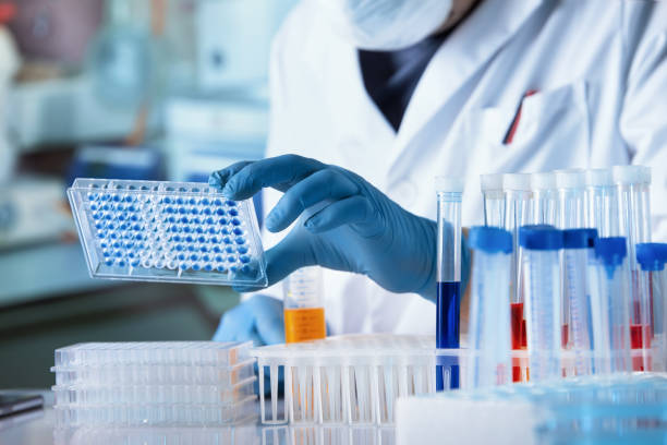 Doctor working with microplate for elisa analysis stock photo