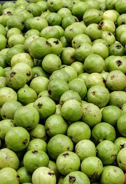 istock THE GUAVA FRUITS 1387091484