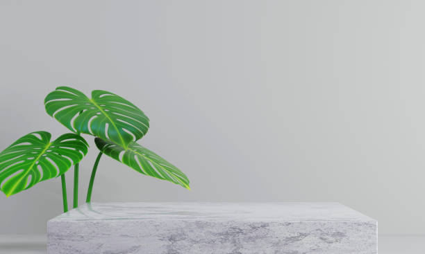 istock Abstract background scene of podium for display product for presentation concept 1387094950