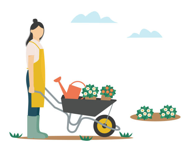 園芸。女性は庭の花、趣味やガーデニングを植えます。ベクターイラストレーション - watering can illustrations点のイラスト素材／クリップアート素材／マンガ素材／アイコン素材