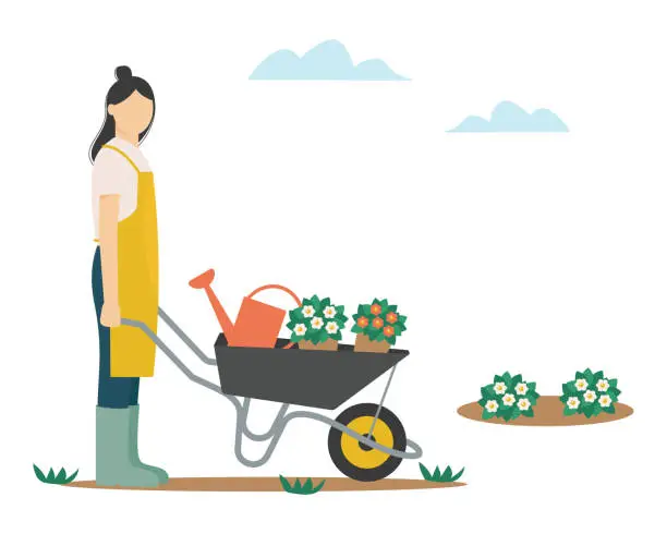 Vector illustration of Gardening. Woman plants garden flowers, hobbies and gardening. Vector illustration