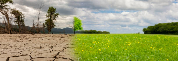 istock Climate change from drought to green landscape 1387095596