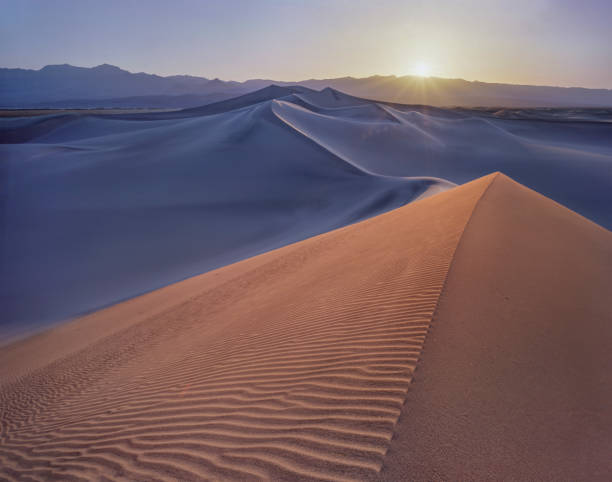sand dunes sunrise, estados unidos - sand dune sand orange california fotografías e imágenes de stock
