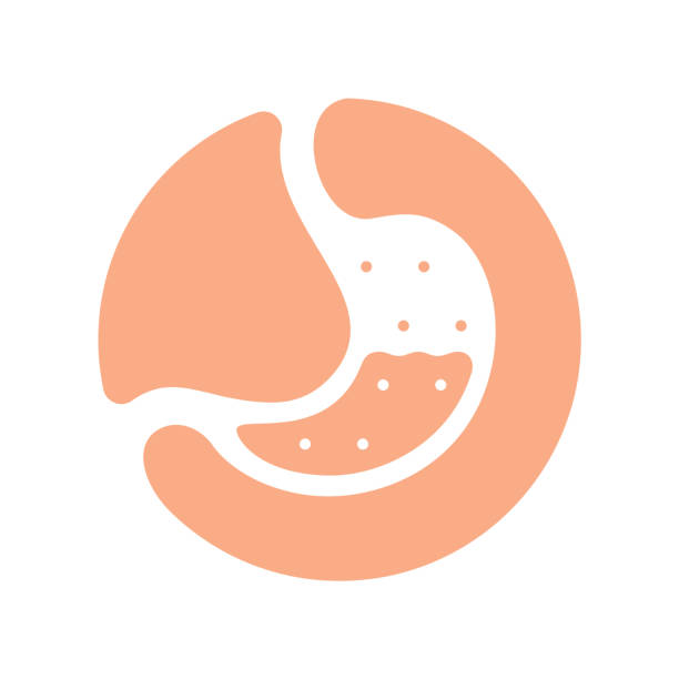 illustrations, cliparts, dessins animés et icônes de logo de l’estomac - estomac