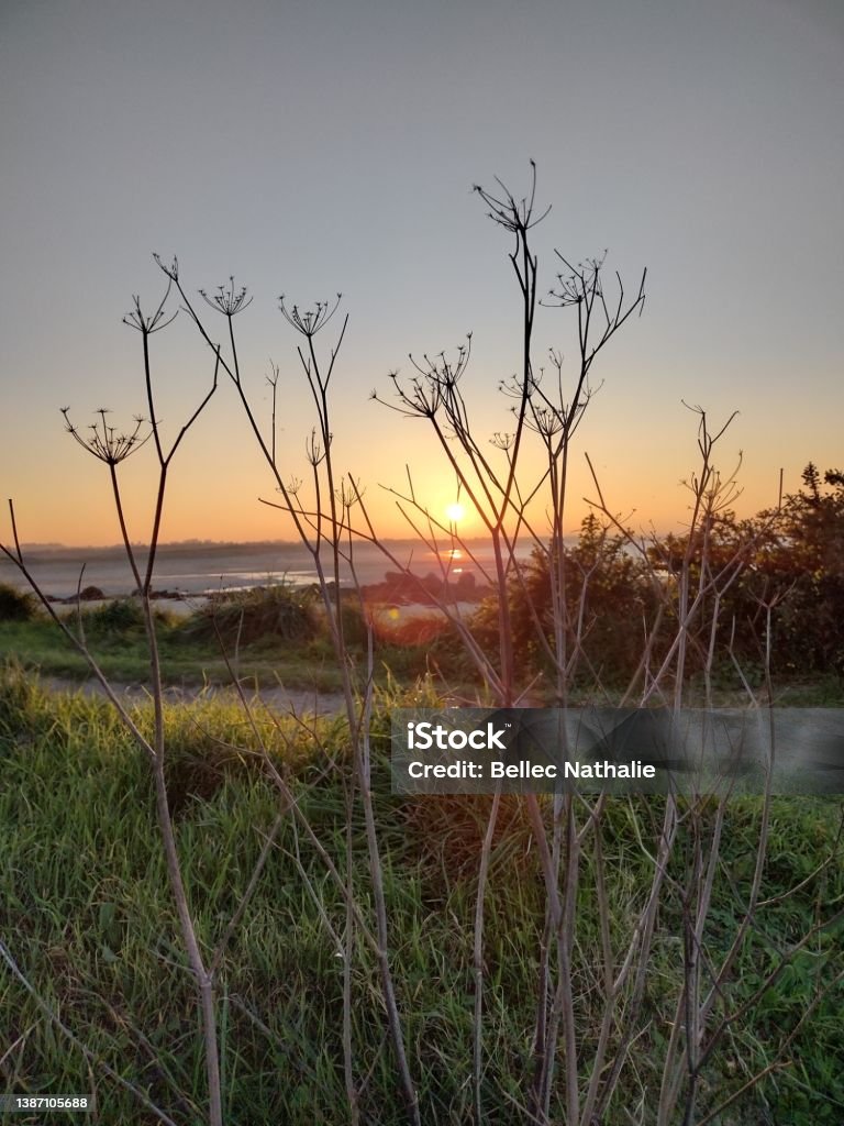 Coucher de soleil sur la dune North Finistère coast north Brittany Beauty In Nature Stock Photo
