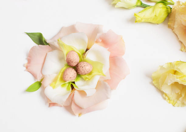 istock easter background with small eggs and pastel flowers on white 1387107986