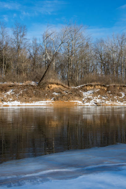 Castlewood State Park - Meramec River Reflections Vertical