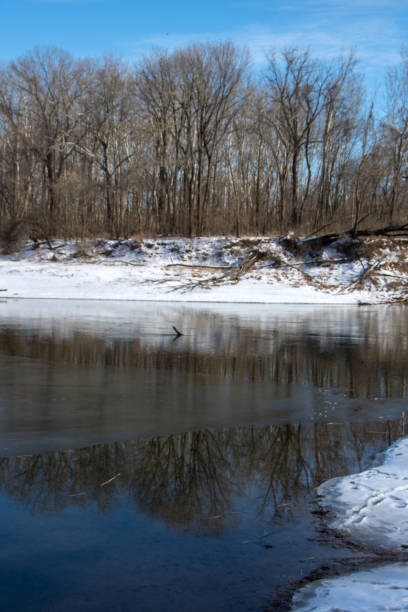 istock Castlewood State Park - Meramec River Winter Trees Reflecting Vertical 1387109909
