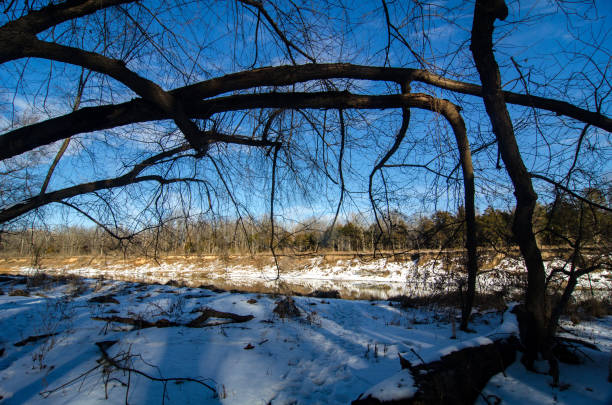 istock Castlewood State Park - Meramec River Framed by Arching Branch 1387110449