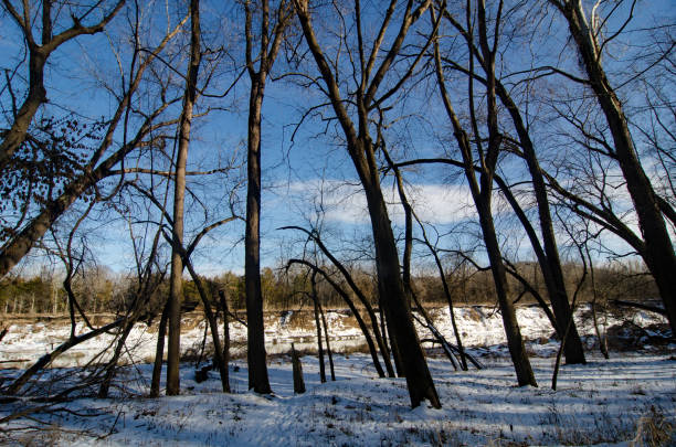 istock Castlewood State Park - River Seen Through Trees 1387110725