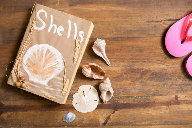Vacation Holiday at the beach collecting sea shells.   Book of shells, a small collection and pair of pink flipflops make for a great vacation background.