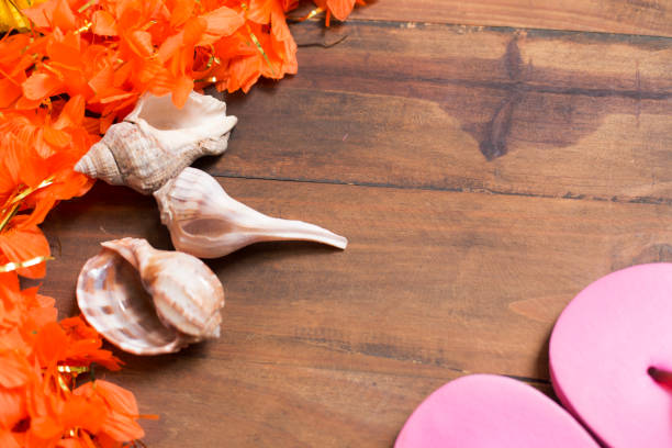 Vacation Holiday at the beach collecting sea shells.  Orange lei and a few sea shells and pink flipflops leave plenty of room for your text.