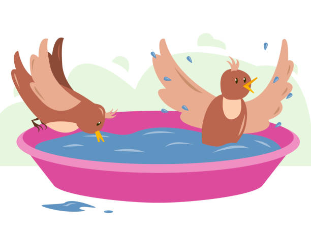 stockillustraties, clipart, cartoons en iconen met joyful birds drink and bathe in refreshing water - bird water bath garden