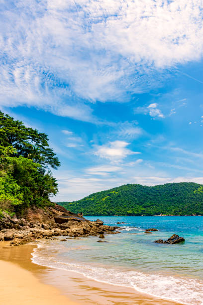 Deserted and unspoilt beach with the rainforest reaching down to the sea Deserted and unspoilt beach with the rainforest reaching down to the sea in Trindade on the coast of Rio de Jneiro, Brazil paraty brazil stock pictures, royalty-free photos & images