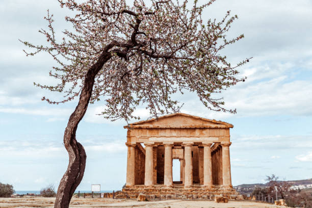 istock Temple under the blossom almond tree. 1387115429