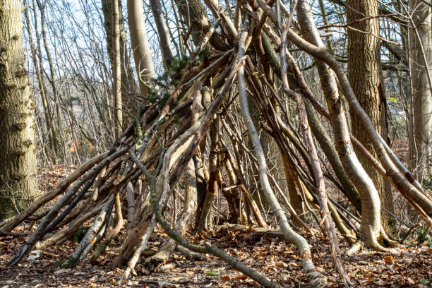 istock Forest Scene - Simple Hut made by Children 1387116031