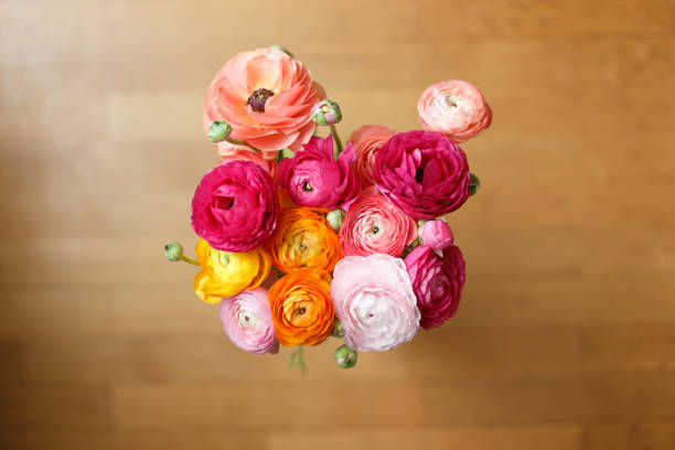 Buttercup flowers bouquet Beautiful bouquet of Buttercup Ranunculus flowers. buttercup family stock pictures, royalty-free photos & images