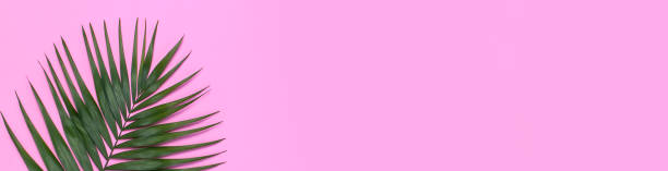 istock Tropical palm leaves on pastel pink background. Flat lay, top view, copy space. Summer background, nature. Creative minimal background with tropical leaves. Leaf pattern 1387122035