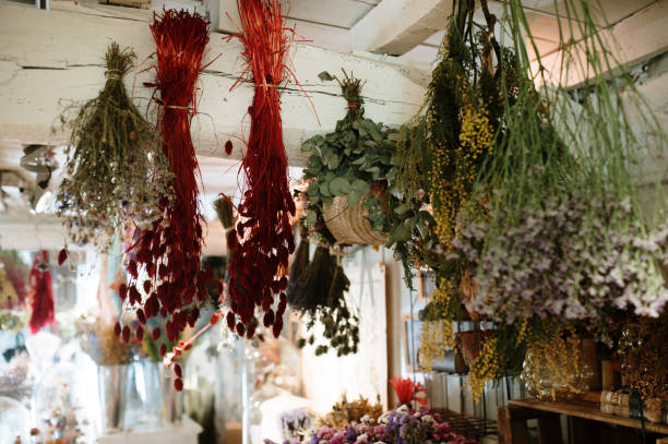 Flower shop with dried flowers