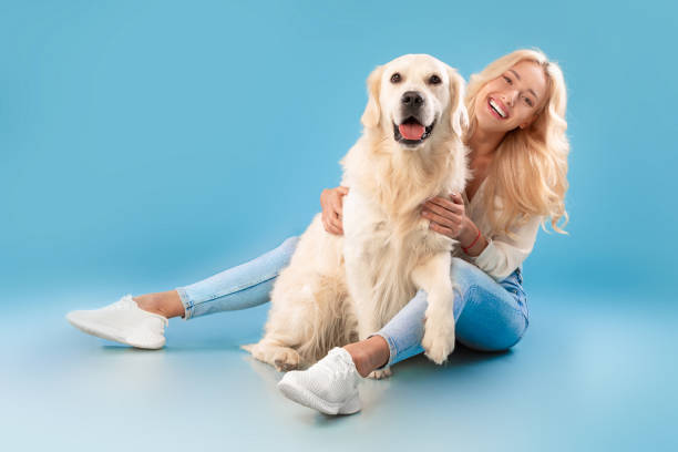 istock Young woman sitting with her dog at blue studio 1387123891
