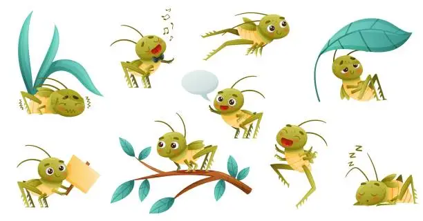 Vector illustration of Cute little grasshopper doing various activities set. Adorable baby insect mascot cartoon character vector illustration