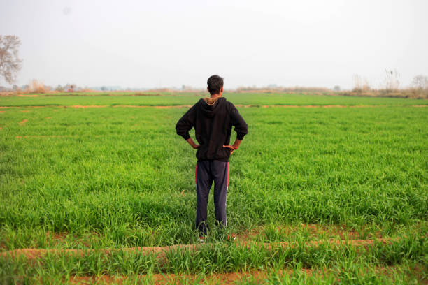 vista posteriore del contadino in piedi vicino al campo verde durante la primavera ritratto all'aperto nella natura - developing countries farmer rice paddy asia foto e immagini stock