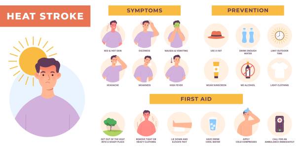 열사병 증상, 예방 및 응급 처치 인포그래픽. 태양 과열 및 탈수. 더운 여름 건강 위험, 일사병 벡터 포스터 - 열 질병 stock illustrations