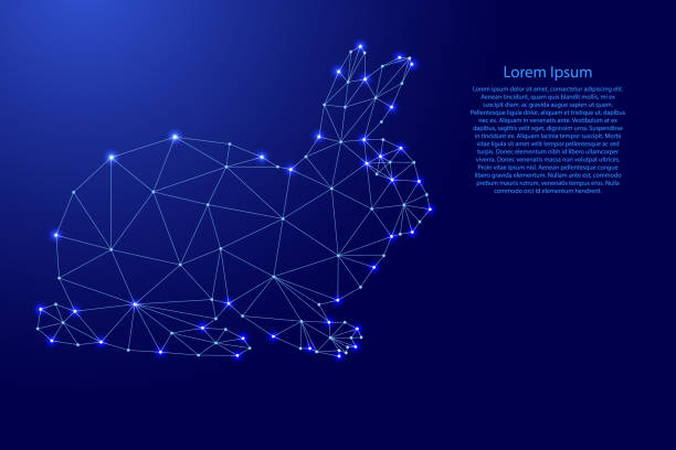 ウサギ、東暦による星占いのシンボル、未来的な多角形の青い線とバナー、ポスター、グリーティングカードのための輝く星から。ベクターイラストレーション。 - star shape点のイラスト素材／クリップアート素材／マンガ素材／アイコン素材