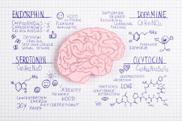 concetto biochimico ormonale - neurotrasmettitore foto e immagini stock