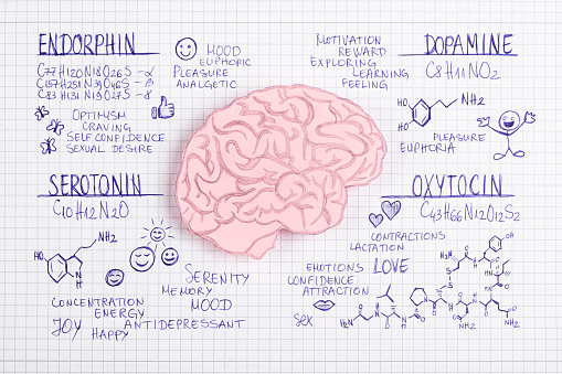 Human brain made of paper with hormone (Endorphin,Dopamine,Serotonin ,Oxytocin) biochemical concept background