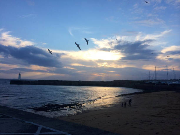istock Birds and beach at sunset 1387133970